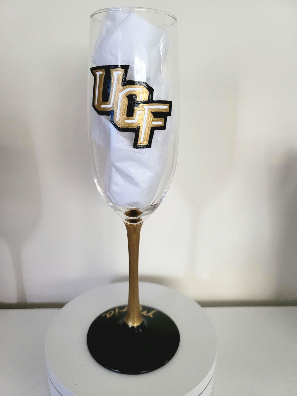 Hand Painted UCF Knights Champagne Flute, College Football Gift